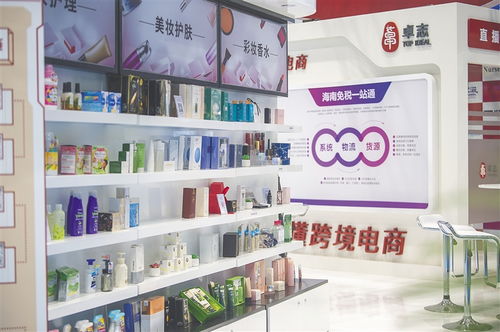 首屆消博會上卓志集團發布海南方案，賦能會議及展覽服務新生態