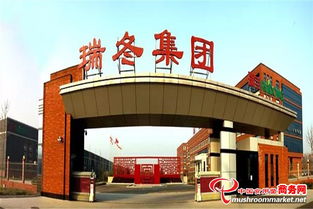 瑞冬集團(tuán)業(yè)務(wù)經(jīng)理交流會 網(wǎng)絡(luò)技術(shù)服務(wù)拳頭產(chǎn)品與研制能力展示